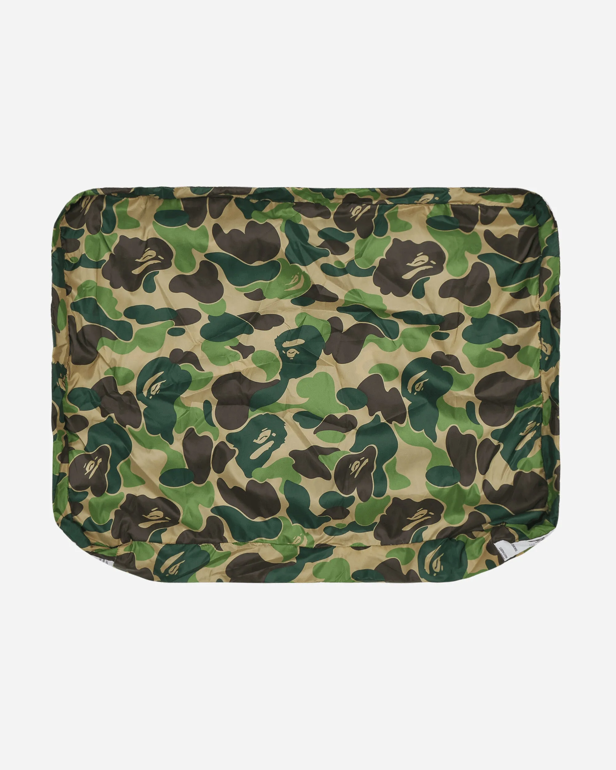 ABC Large Assortment Case Green