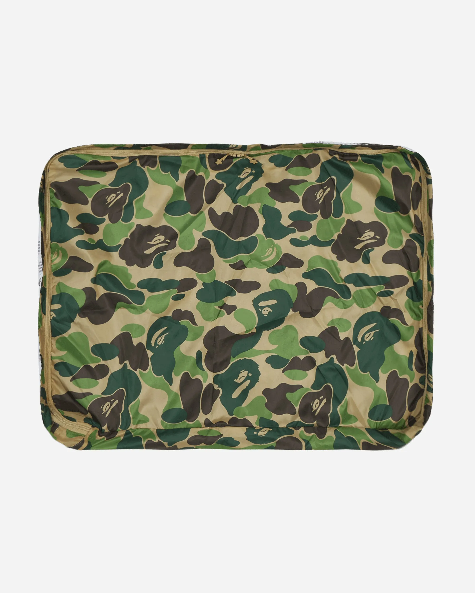 ABC Large Assortment Case Green