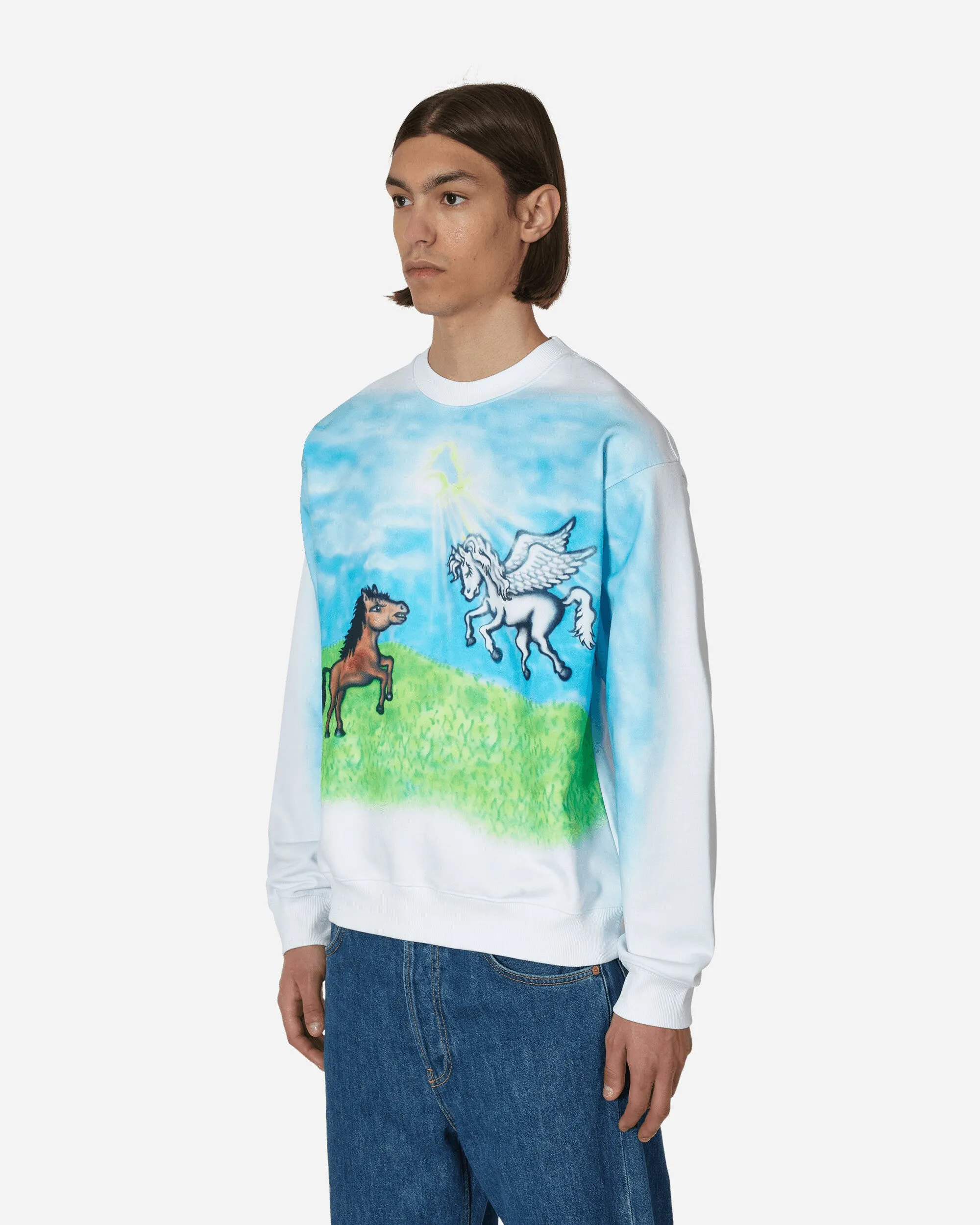 Ally Bo Printed Crewneck Sweatshirt White