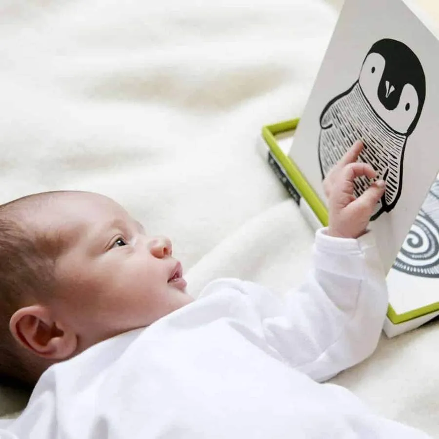 Art Cards For Baby Jungle