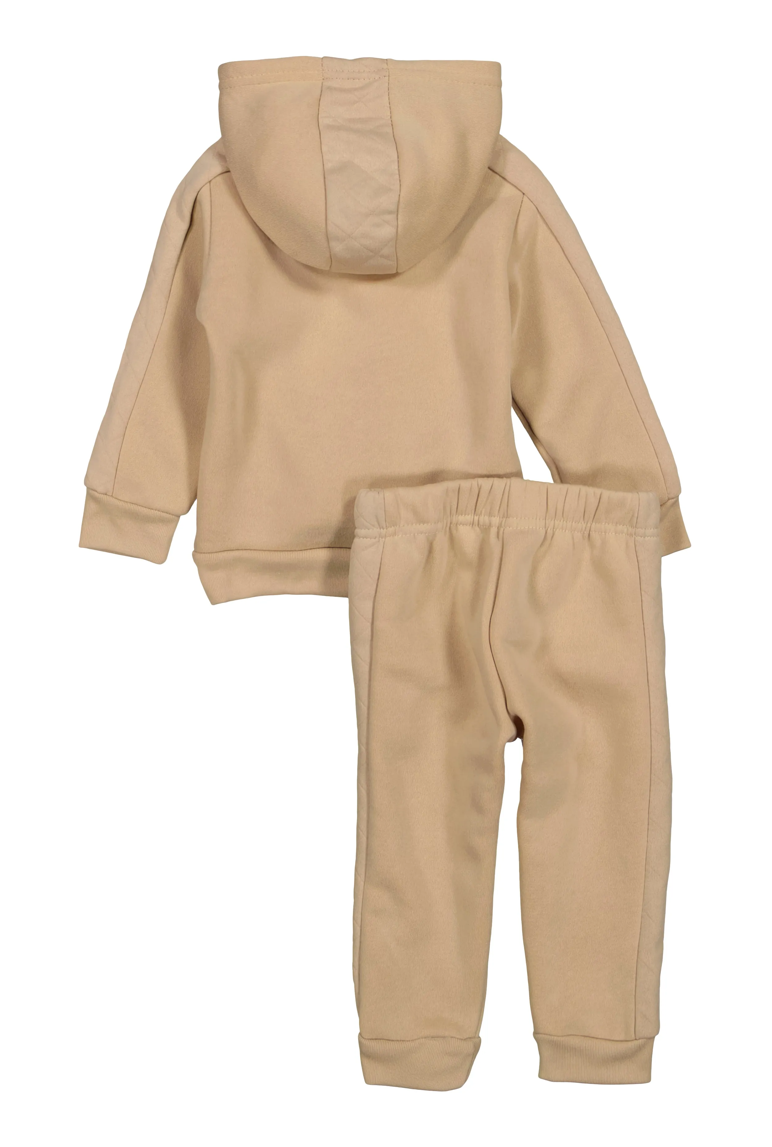 Baby Boys 12-24M Pullover Hoodie and Joggers