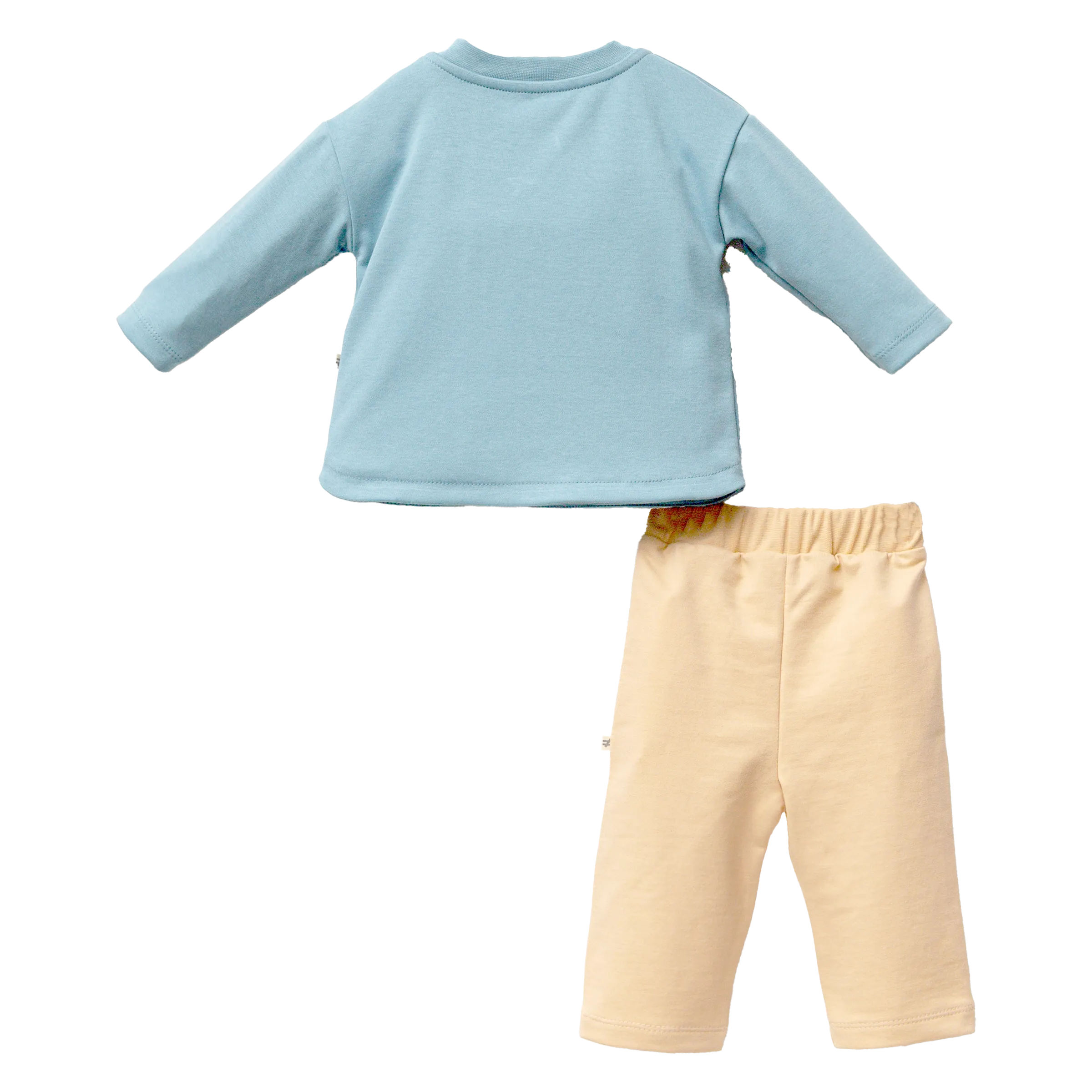 Blue Lion Graphic Outfit
