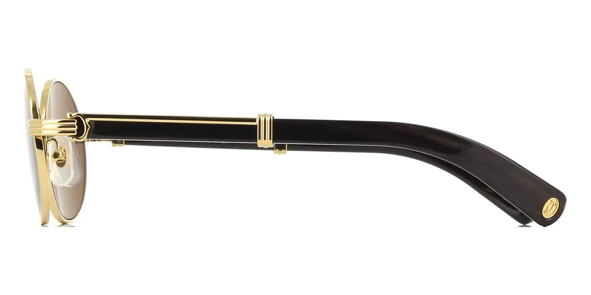 Cartier Buffalo Horn CT0464S 005 2BR