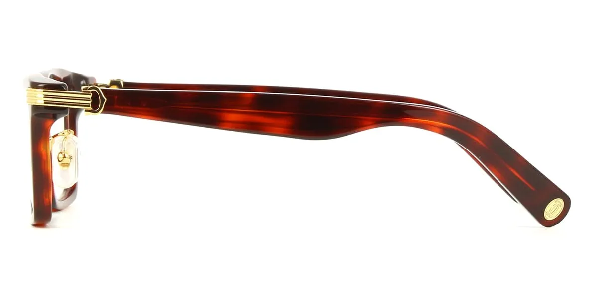 Cartier CT0420OA 003