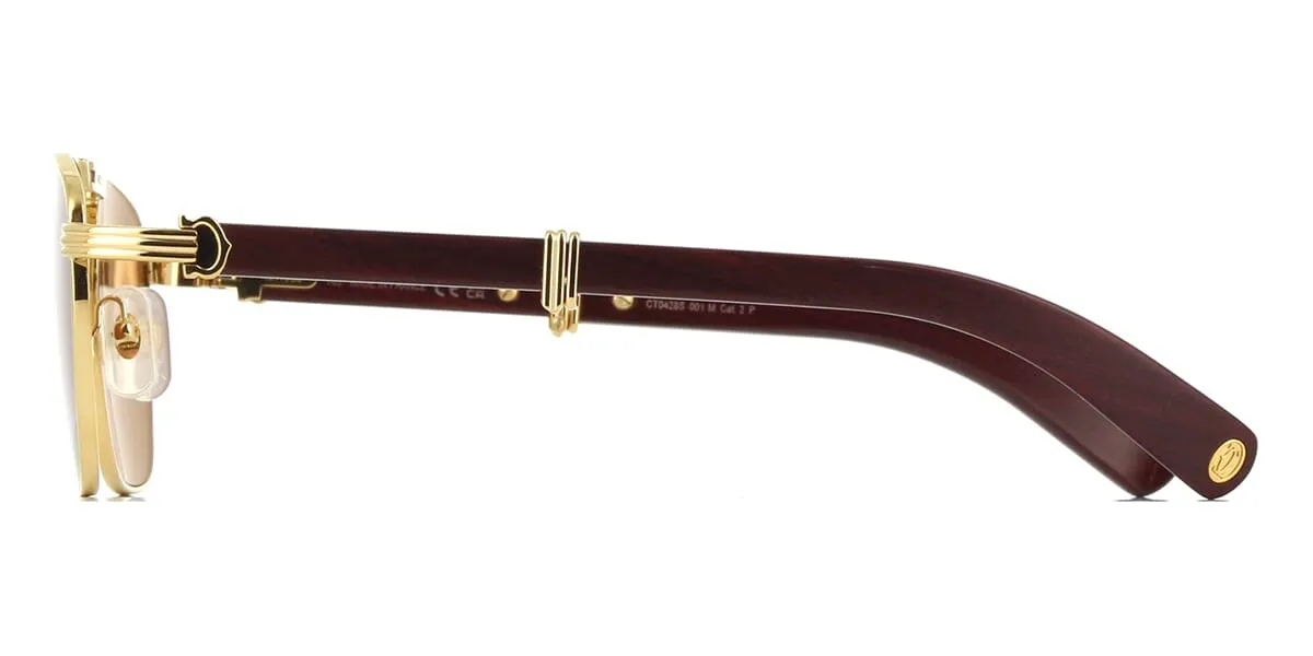 Cartier CT0428S 001 Polarised