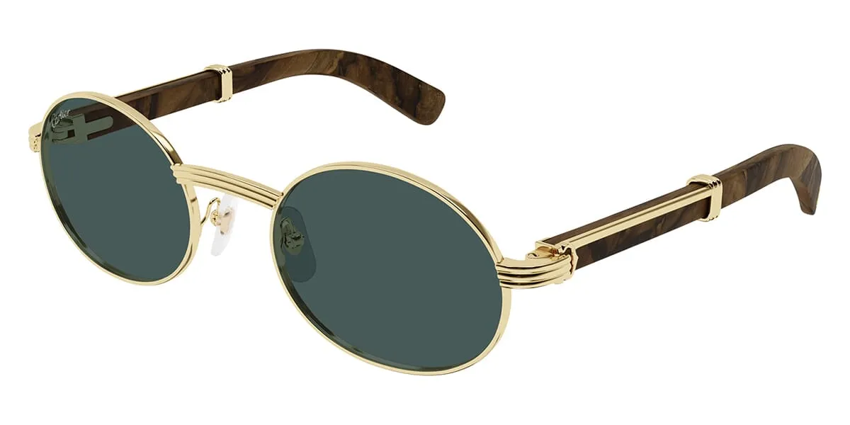 Cartier CT0464S 010