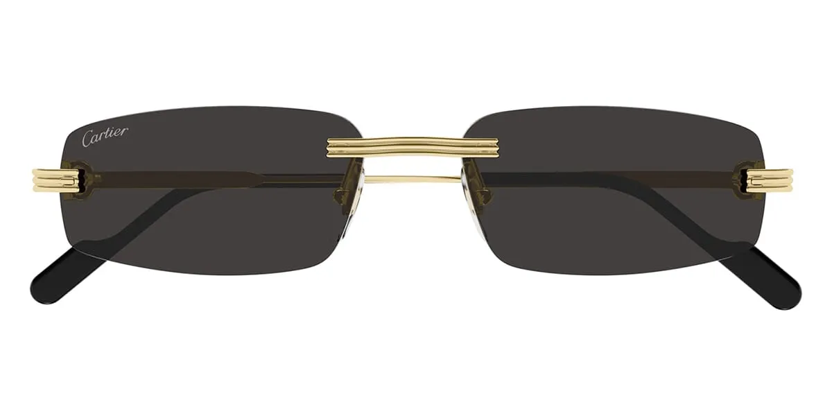 Cartier CT0535S 001