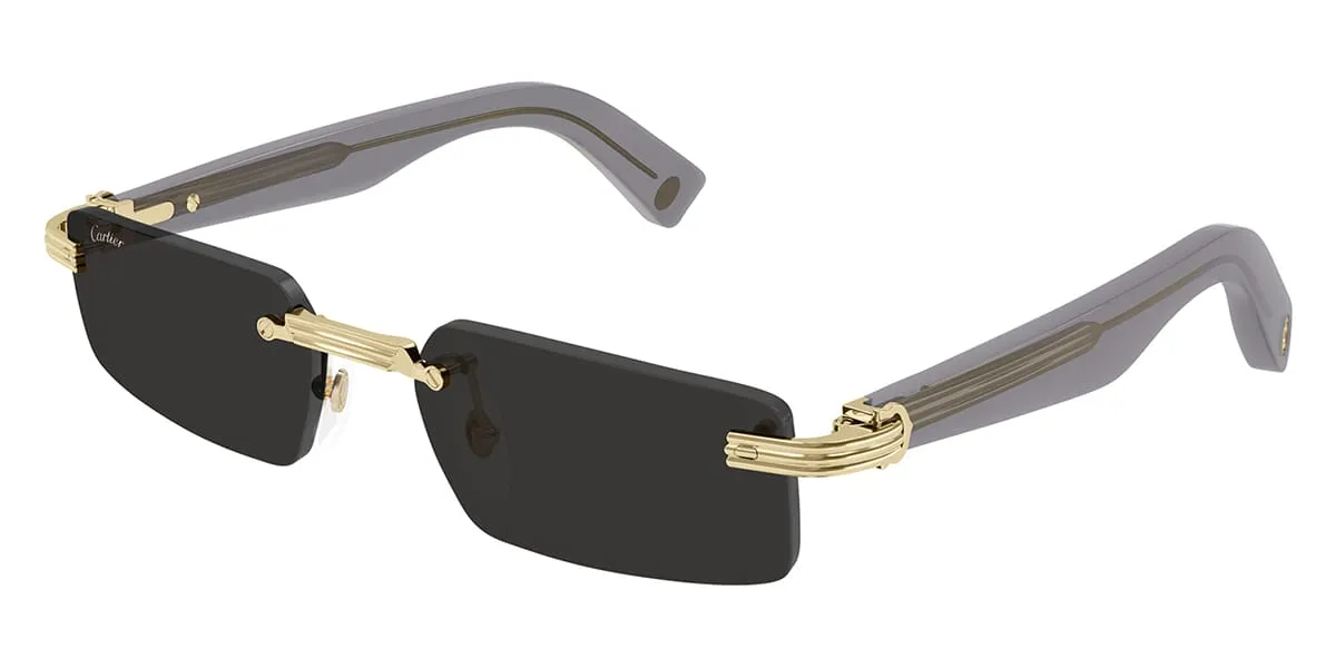 Cartier CT0537S 001