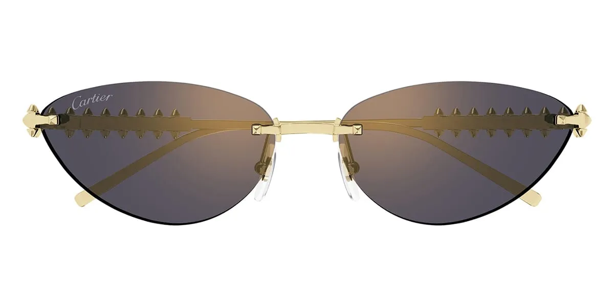 Cartier CT0543S 003