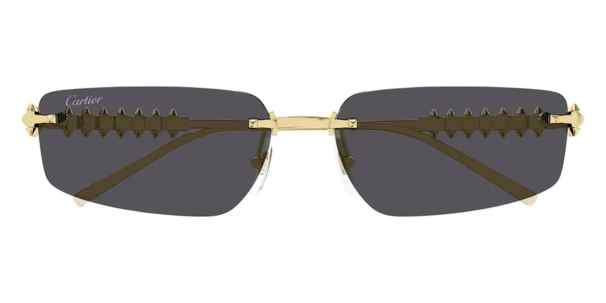 Cartier CT0544S 002