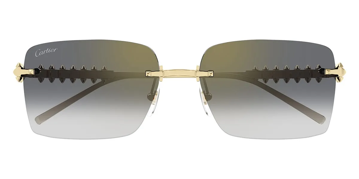 Cartier CT0545S 001