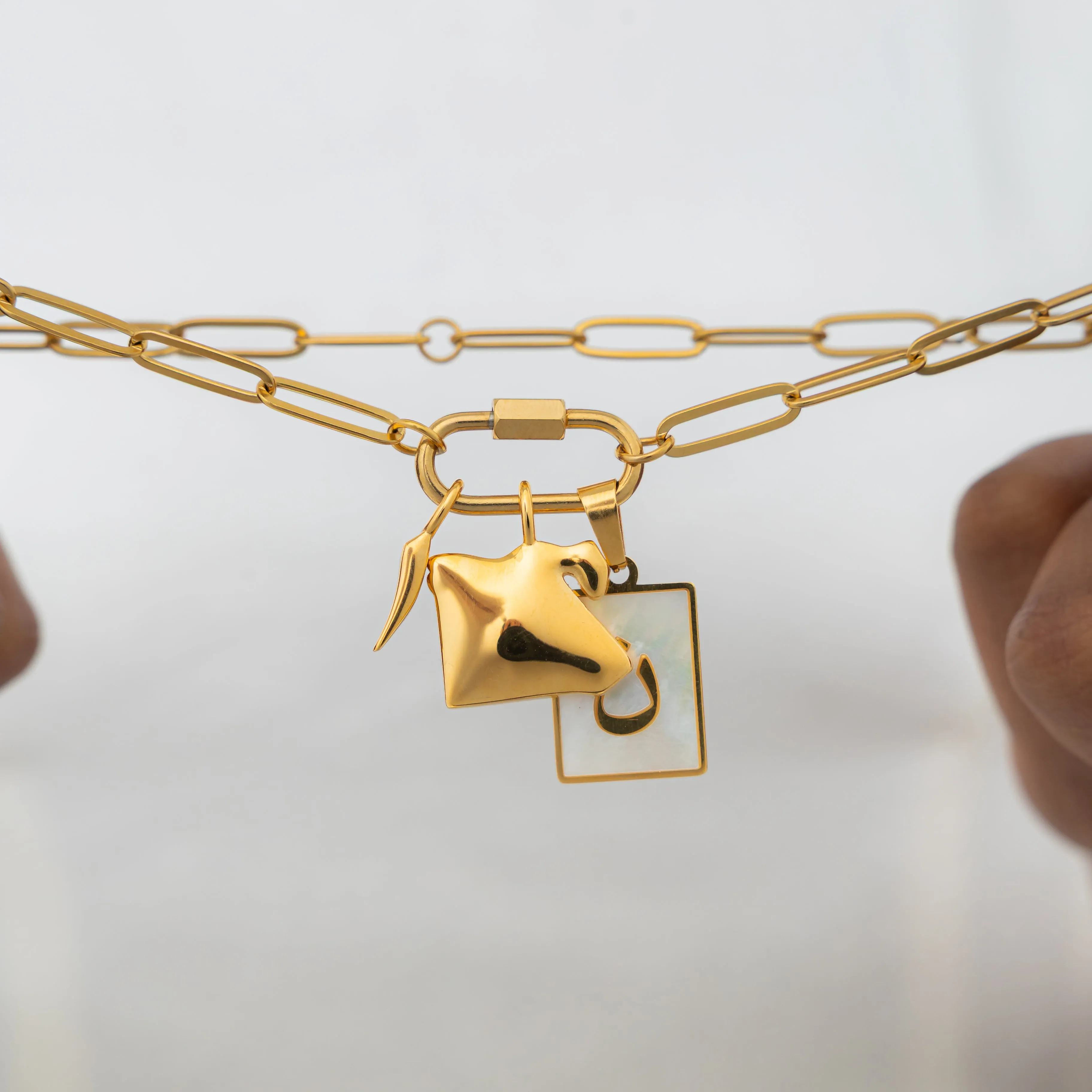 Charm Keeper Necklace