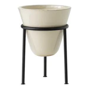 Daiza Planter