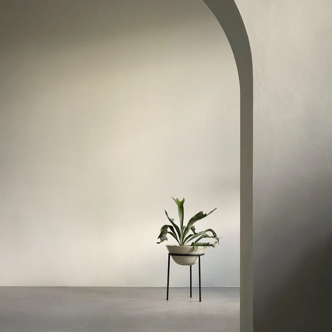 Daiza Planter