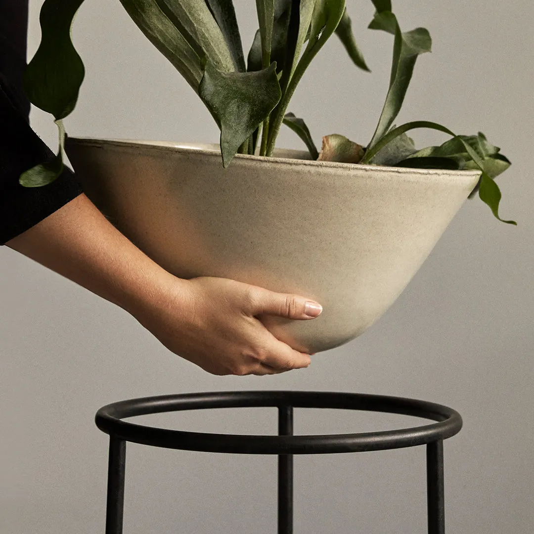 Daiza Planter