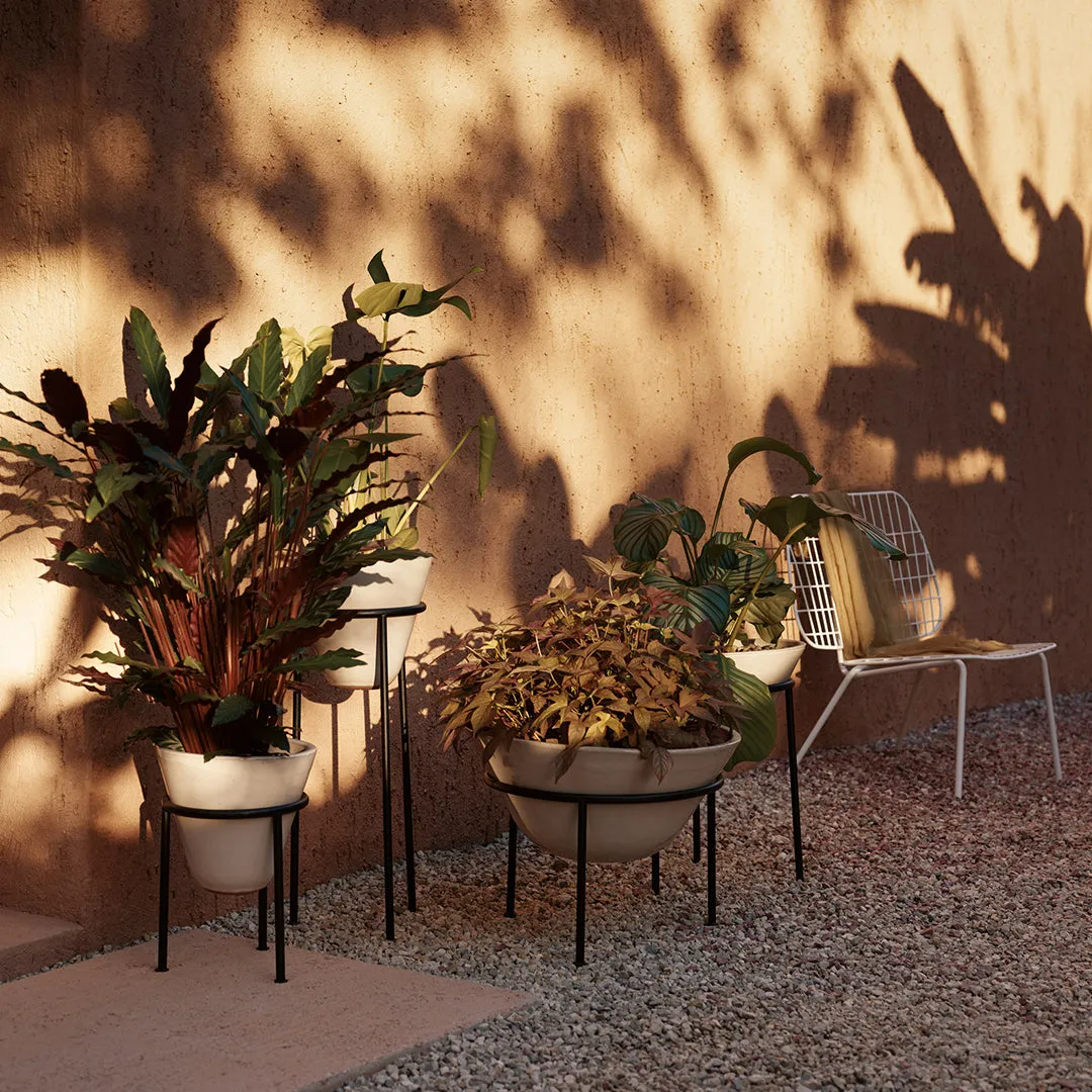 Daiza Planter