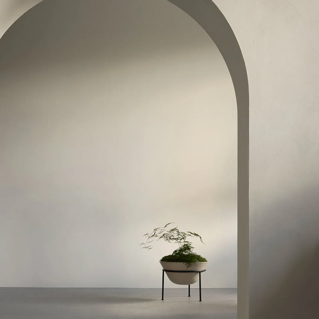 Daiza Planter