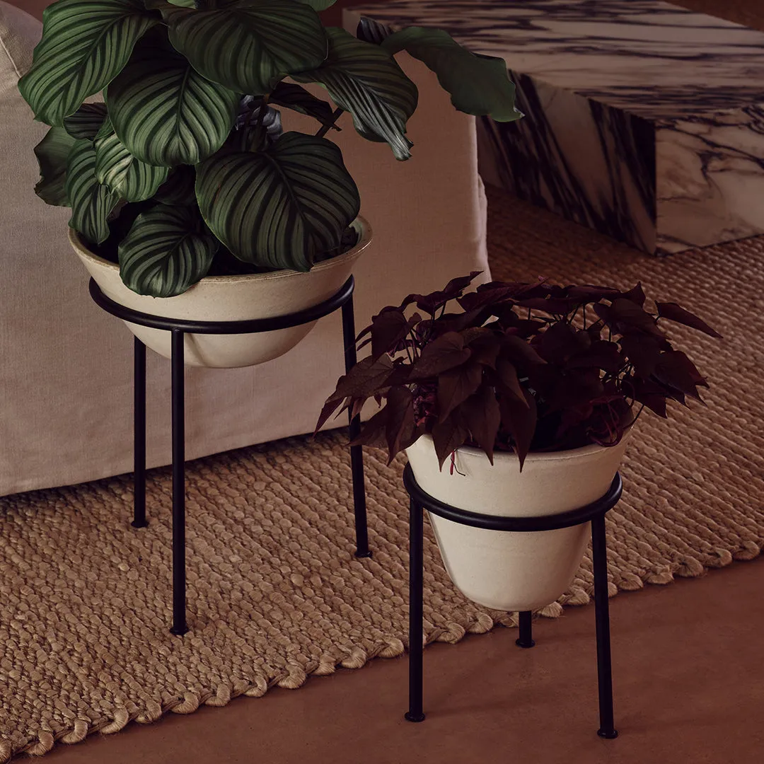 Daiza Planter
