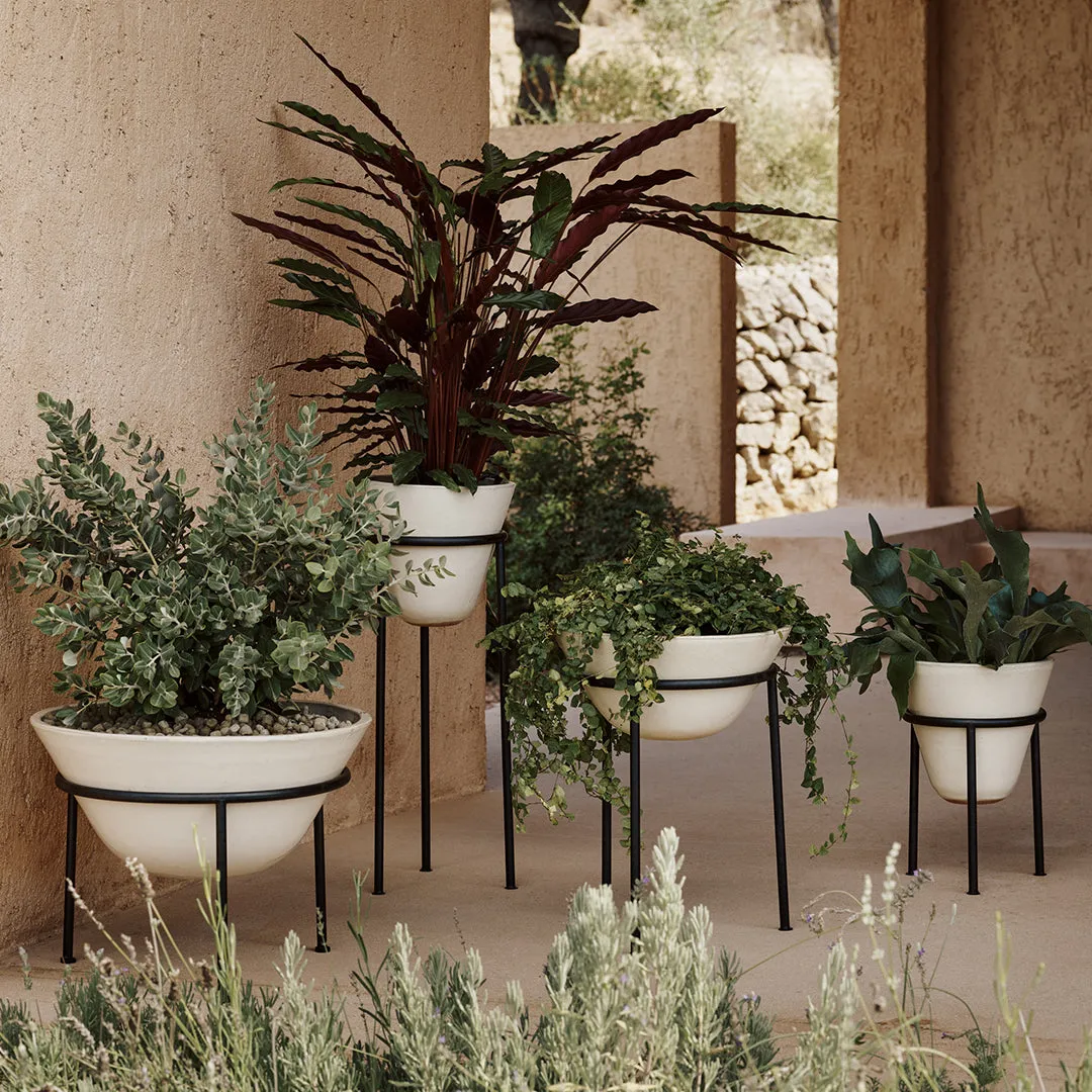 Daiza Planter