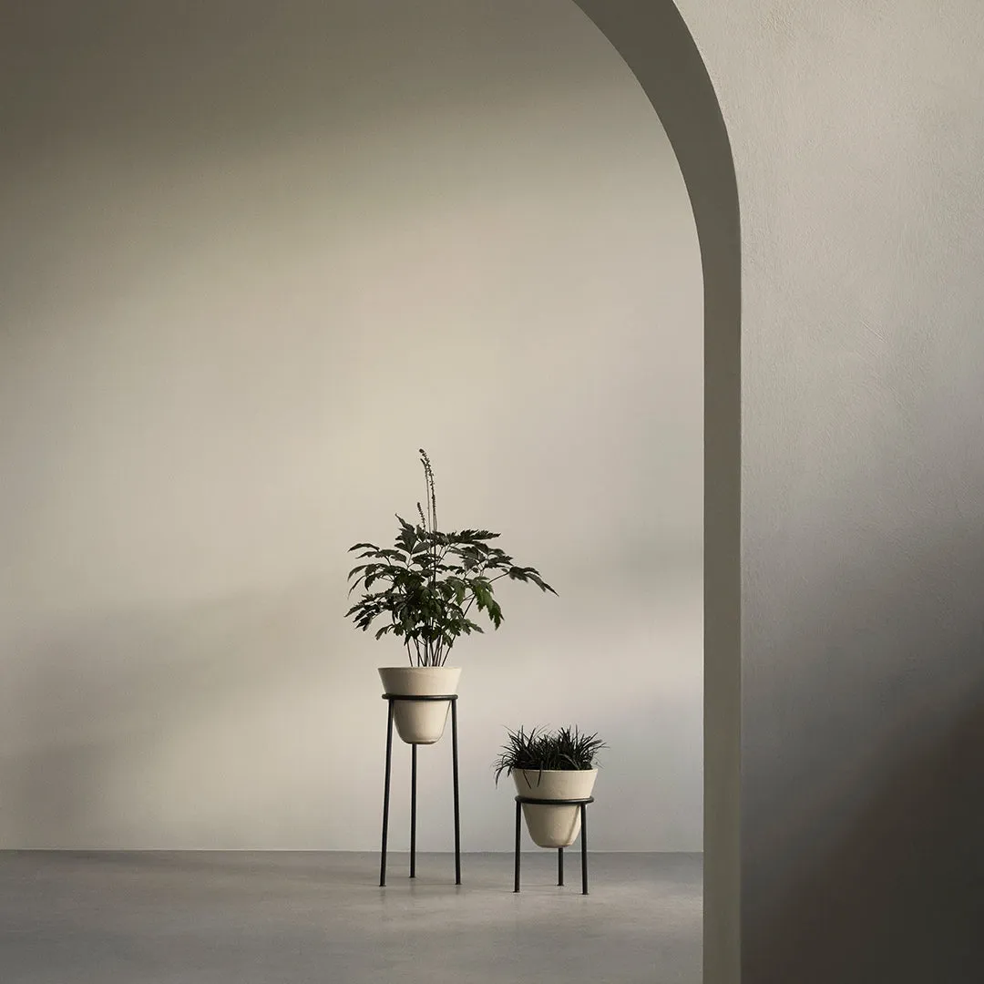 Daiza Planter