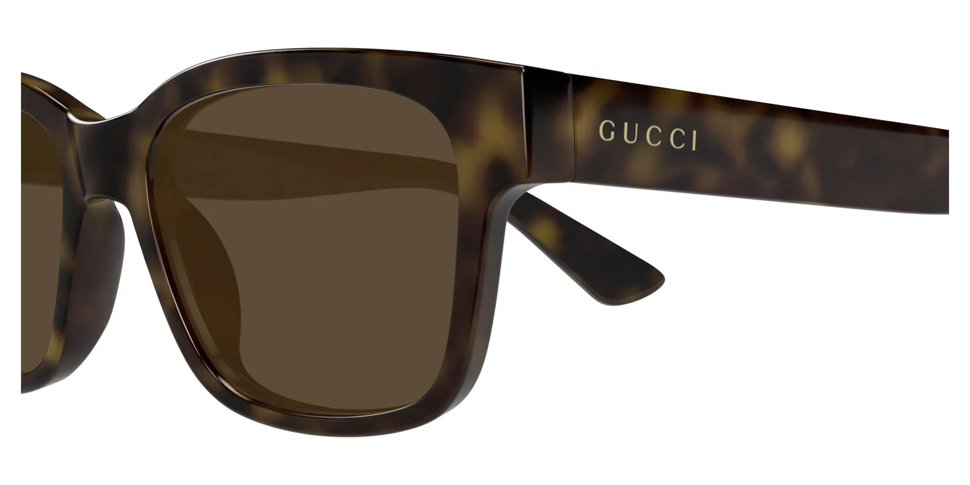 Gucci GG1716S