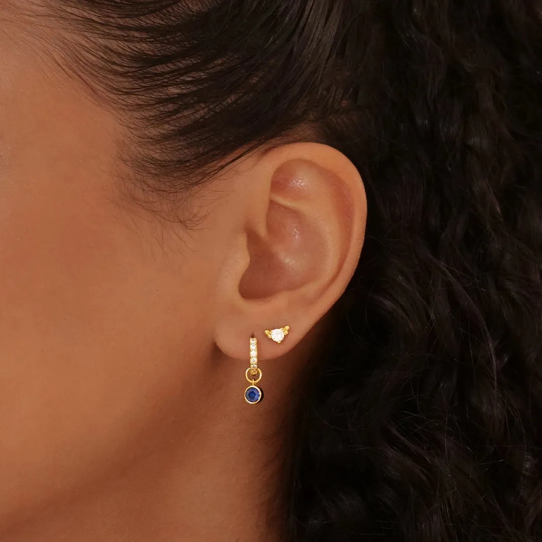 Harry Earrings