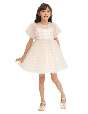 Ivory Pink Accented Tulle Fontana Dress