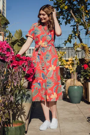 Lauretta Shirt Dress - Red. Tropical Toucans