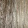 Malibu by Aspen Wigs | Synthetic Layered Wig | CLEARANCE