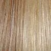 Malibu by Aspen Wigs | Synthetic Layered Wig | CLEARANCE