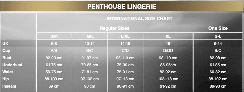 Penthouse - Best Foreplay Body with Skirt Costume