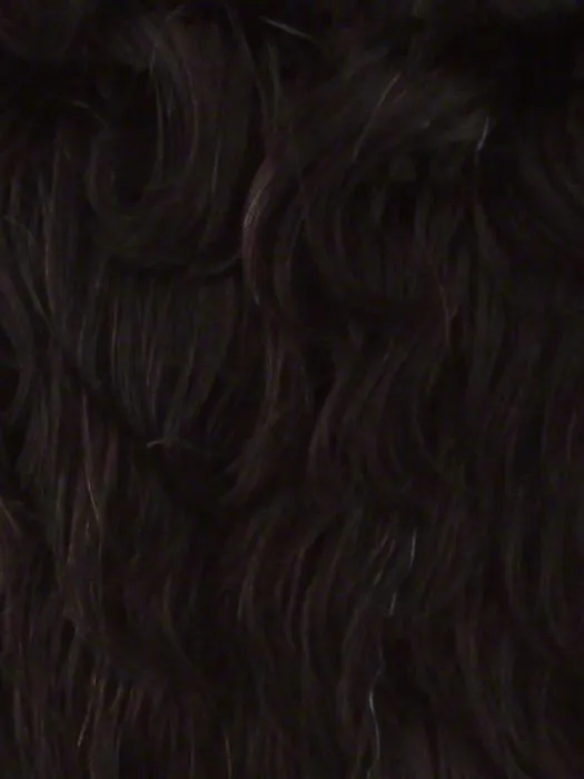 Royalty | Synthetic Lace Front Wig
