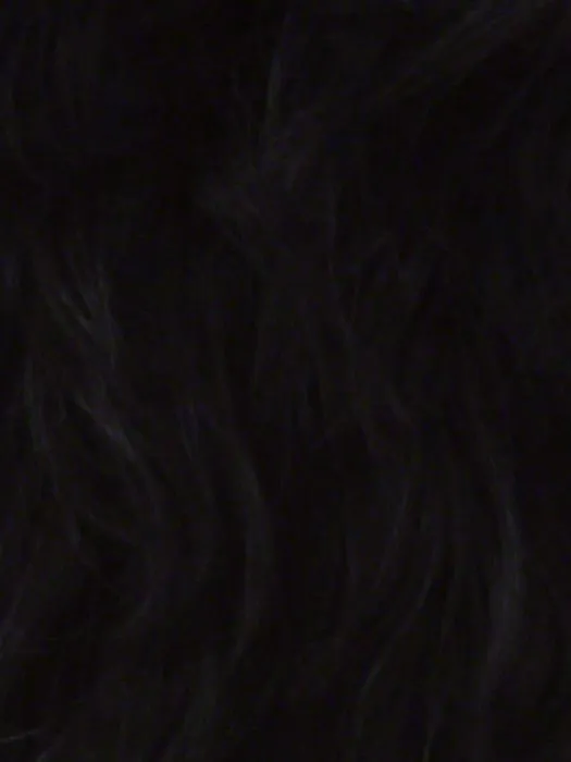 Royalty | Synthetic Lace Front Wig