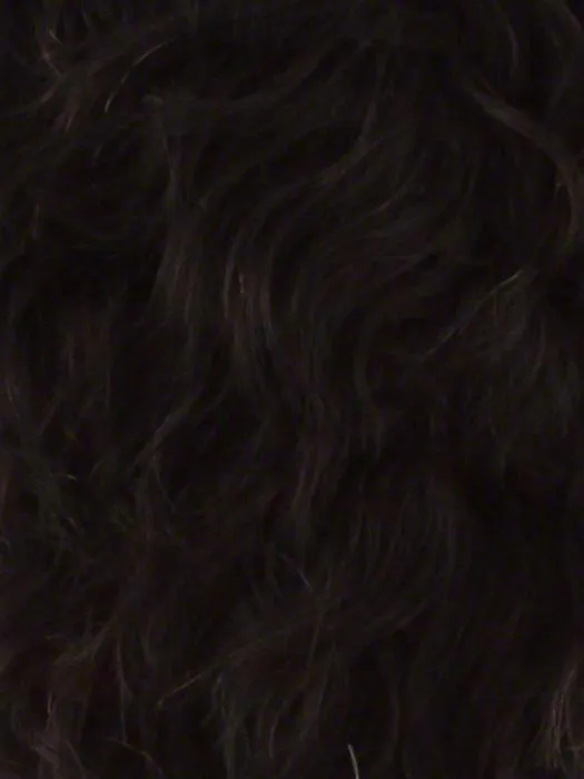 Royalty | Synthetic Lace Front Wig