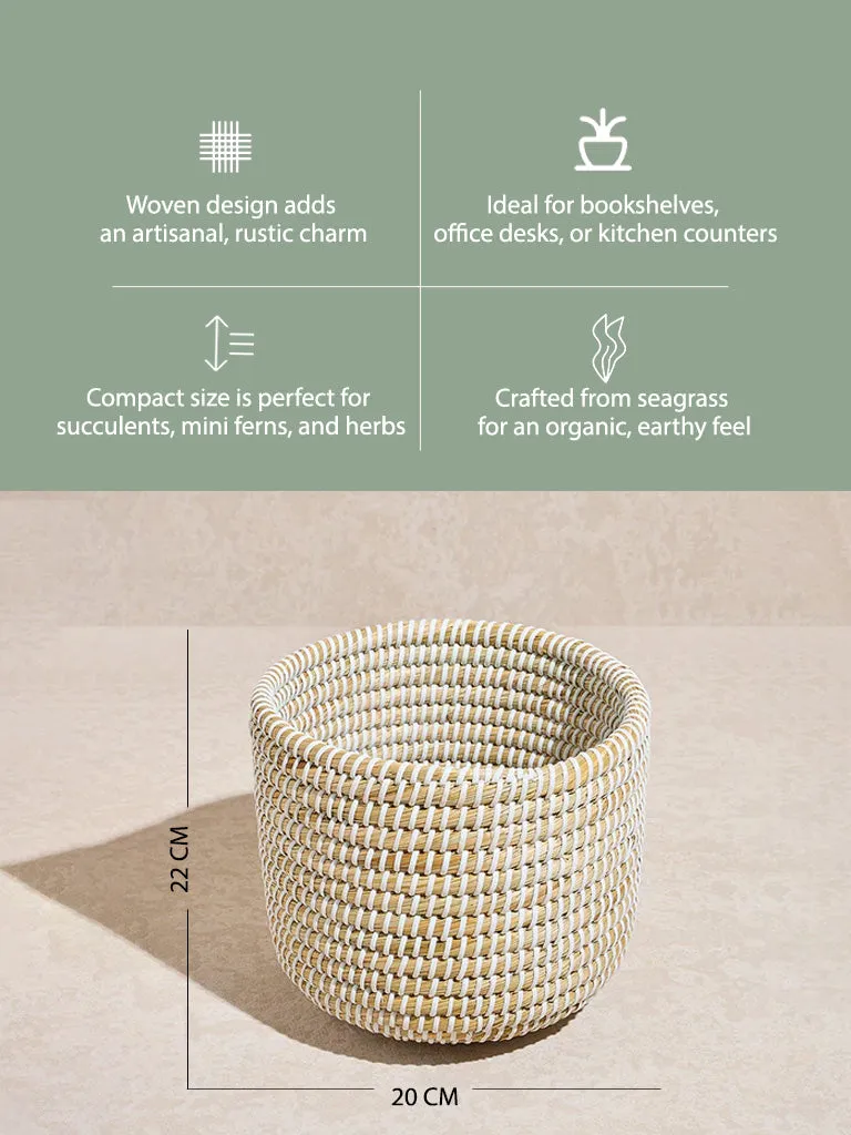 Westside Home Beige Woven Textured Planter- Small